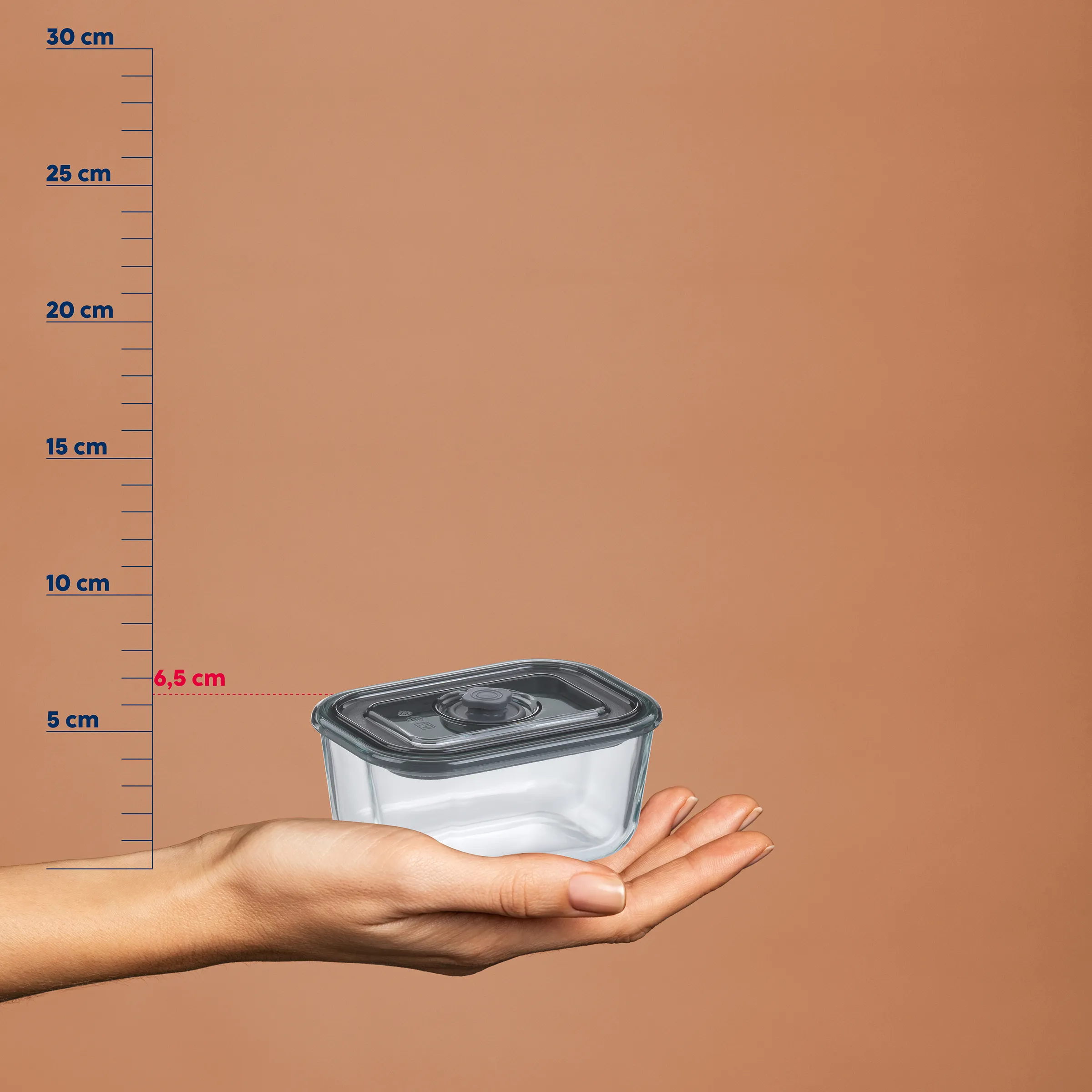 Transparente Frischhaltedose mit Deckel - Größenvergleich Aufbewahrungsbehälter Hand hält transparente Frischhaltedose mit grauem Deckel, Größenvergleich mit Maßstab bis 30 cm