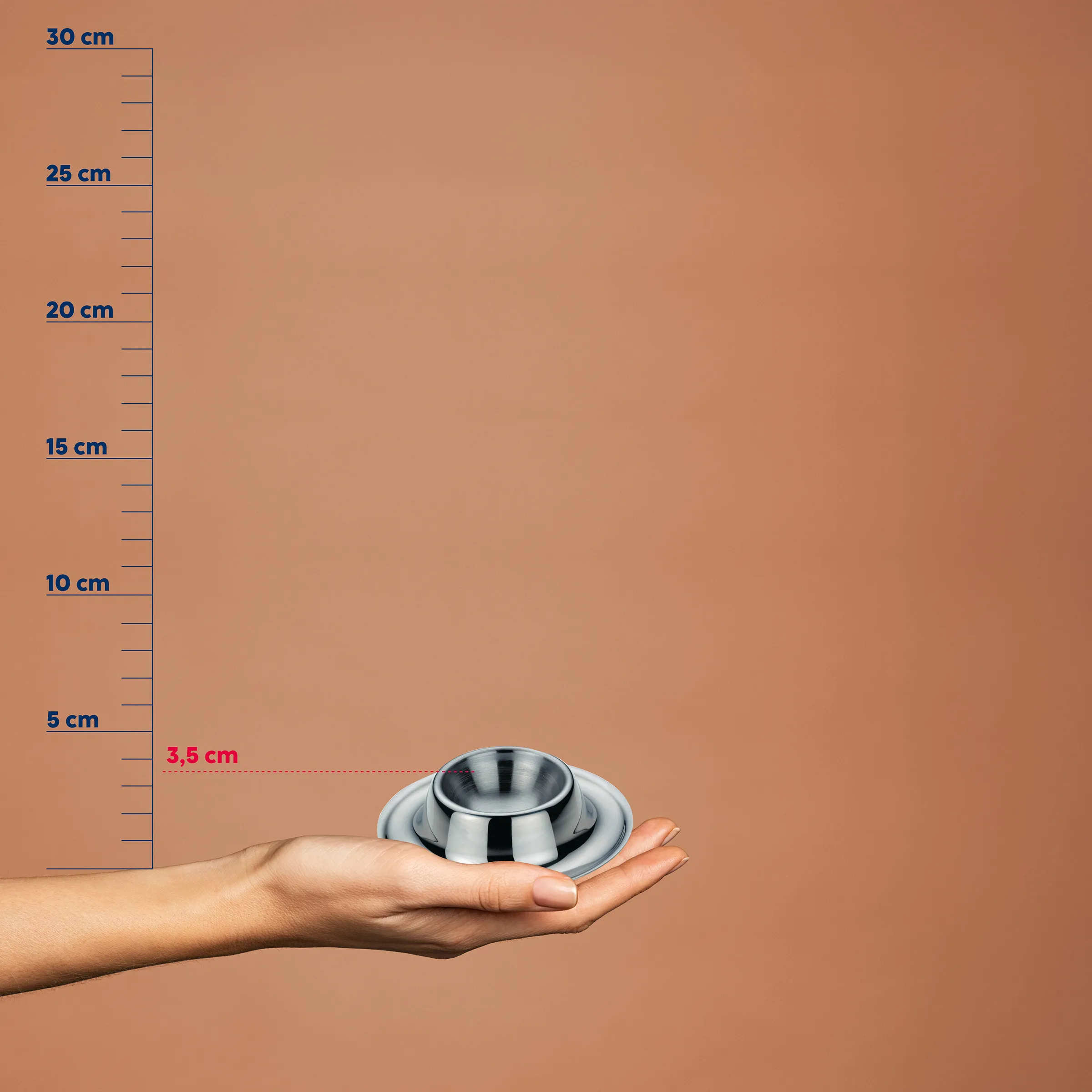 Edelstahlschale mit Größenvergleich auf Handfläche, Durchmesser 3,5 cm, neben Maßstab bis 30 cm