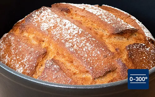Gebackener Kuchen mit Zuckerguss in Backform – 0-300°C Backofen geeignet Frisch gebackener Kuchen mit Zuckerguss in runder Backform, geeignet für 0-300°C Backofen