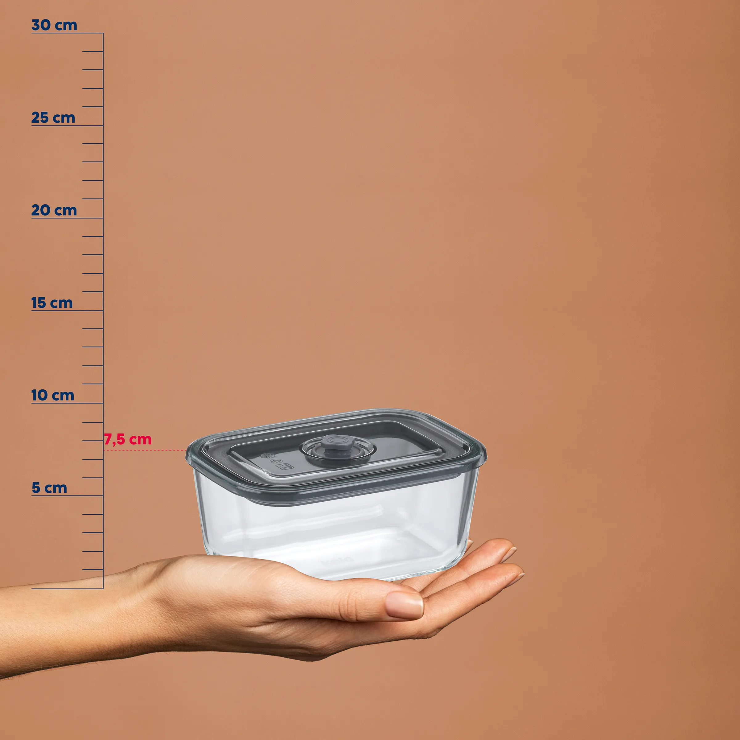 Frischhaltedose transparent mit Deckel - Größenvergleich Rechteckige Kunststoff-Frischhaltedose mit schwarzem Deckel in einer Hand, neben einer Messskala mit Größenangaben bis 30 cm