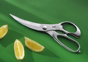Küchenschere Edelstahl - Profi Geflügelschere mit scharfen Klingen Edelstahl Küchenschere mit langen Klingen und ergonomischen Griffen auf grünem Untergrund neben Zitronenschnitzen