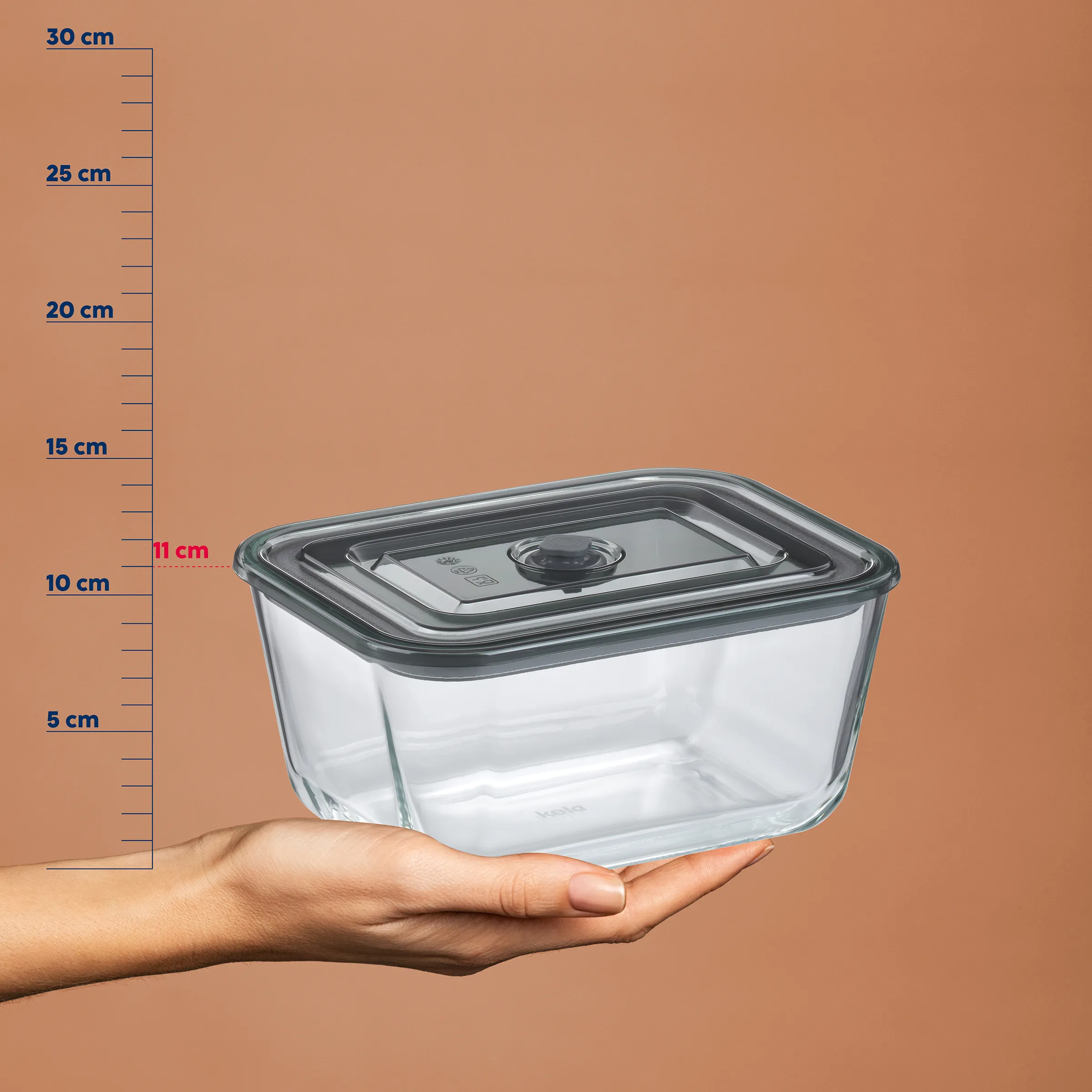 Glascontainer mit Deckel - Frischhaltedose Aufbewahrung GlasContainer mit Deckel auf einer Hand neben Messskala, Höhe etwa 11 cm