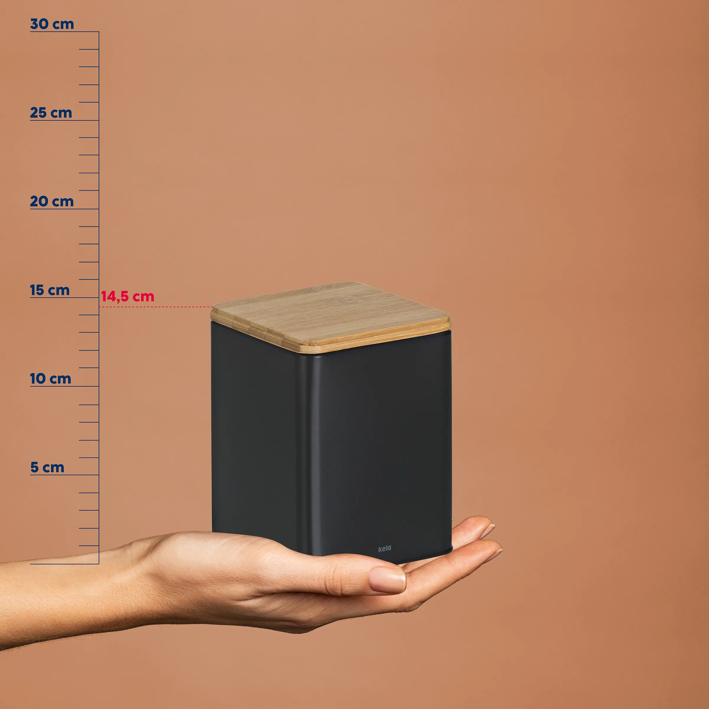 Aufbewahrungsbox schwarz Holzdeckel kompakt Schwarze Aufbewahrungsbox mit Holzdeckel in Hand, daneben Größenvergleich-Skala bis 30 cm