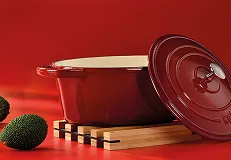 Gusseisen-Bräter rot mit Deckel – Premium Kochtopf für Schmorgerichte Roter Gusseisen-Bräter mit Deckel auf rotem Hintergrund, daneben Knoblauch und Brokkoli