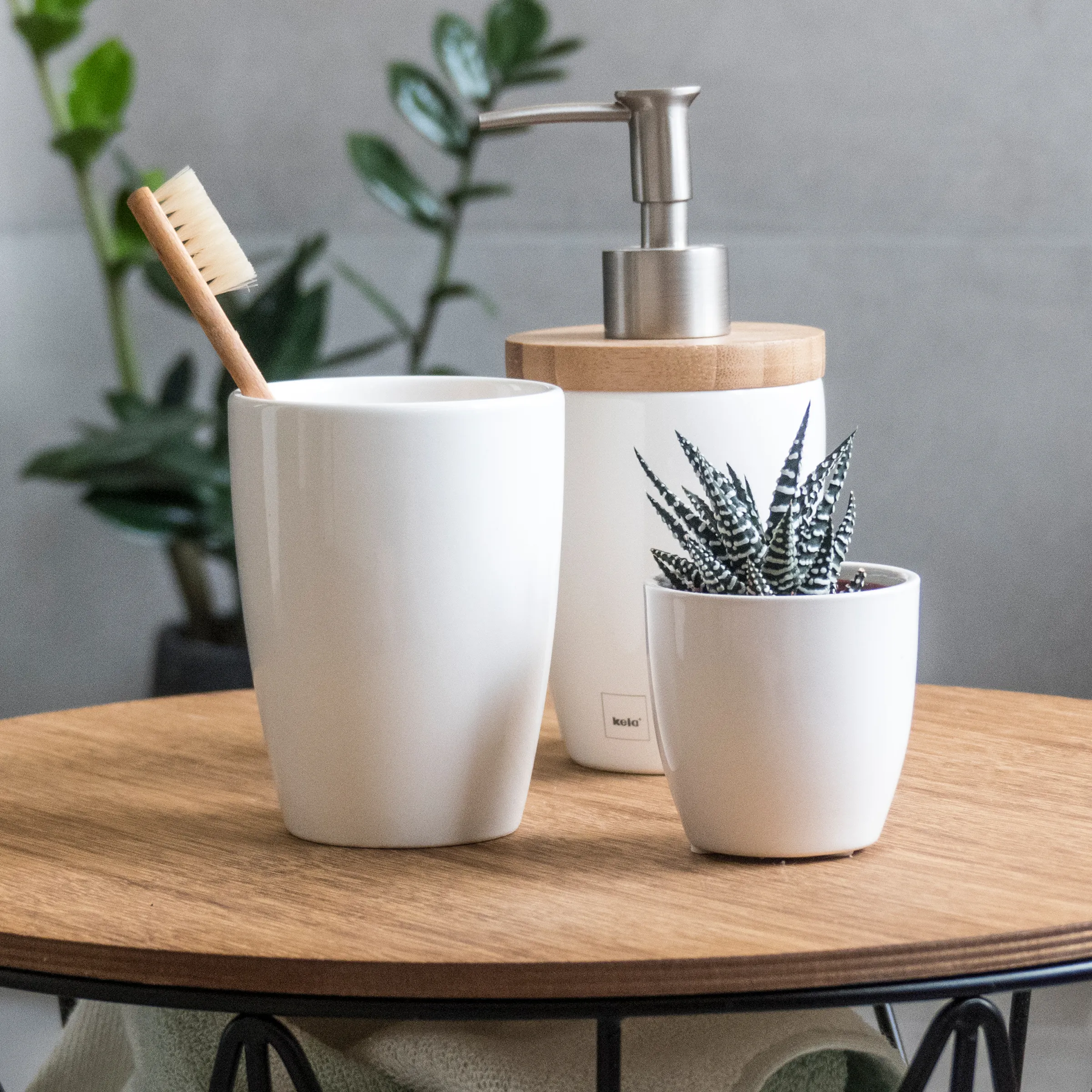 Badezimmer-Set mit weißer Zahnbürstenhalter, Seifenspender mit Sukkulente und Holzzahnbürste auf Holztisch